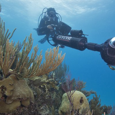 Researchers with the Catlin Seaview Survey are examining photographs to understand reef health. Credit: Catlin Seaview Survey.